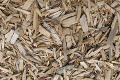 biomass boilers Prescot